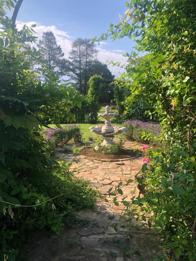 Apple And Rose Bed and Breakfast Belfast Exteriör bild
