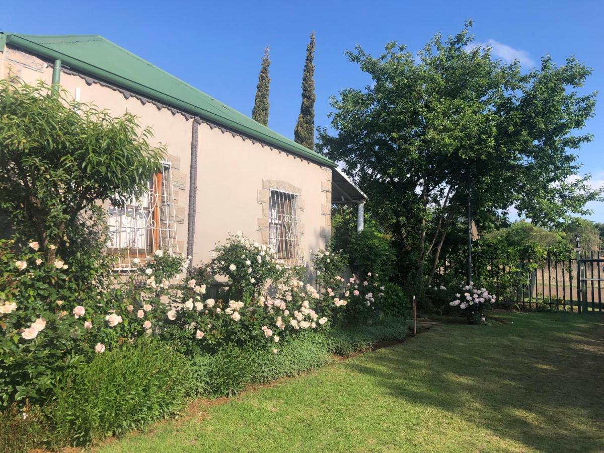 Apple And Rose Bed and Breakfast Belfast Exteriör bild